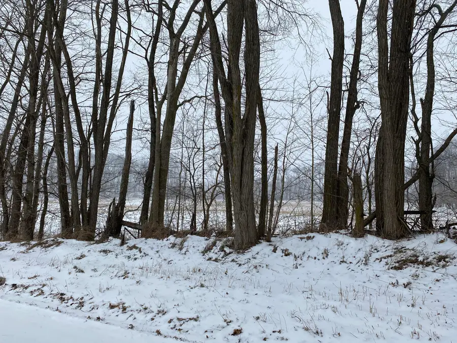 W Thompson Road, Bronson, MI 49028 - Image #3