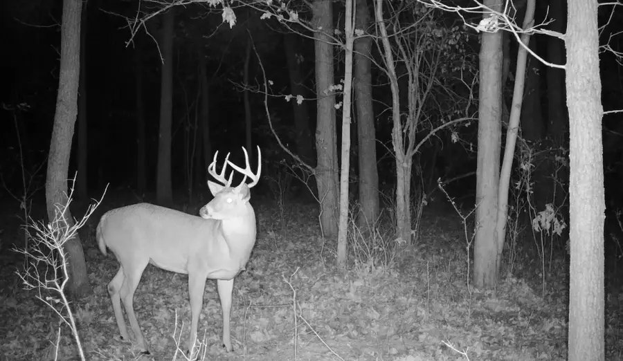 V/L 56th Avenue, Paw Paw, MI 49079 - Image #3