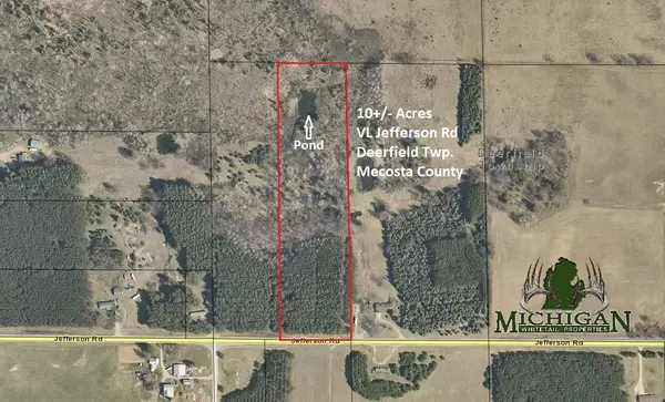 Vl Jefferson Road, Morley, MI 49336