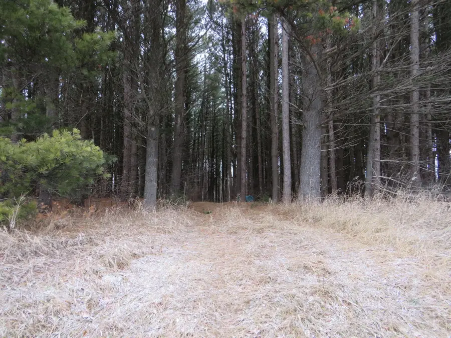 Vl Jefferson Road, Morley, MI 49336 - Image #3