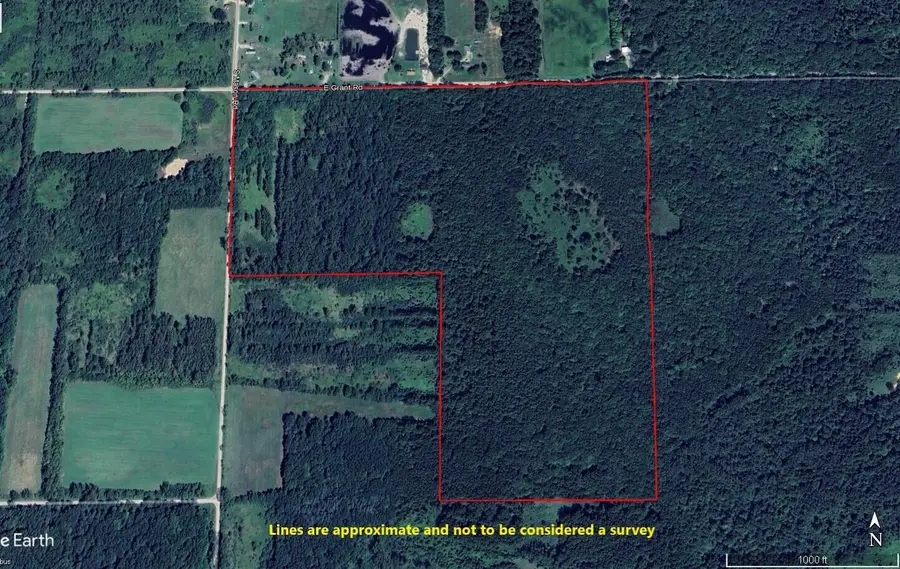 0VL S Mason Road, Ashley, MI 48806 - Image #2