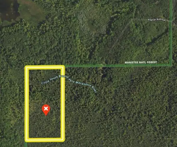 00 VL Poplar Avenue, Bitely, MI 49309