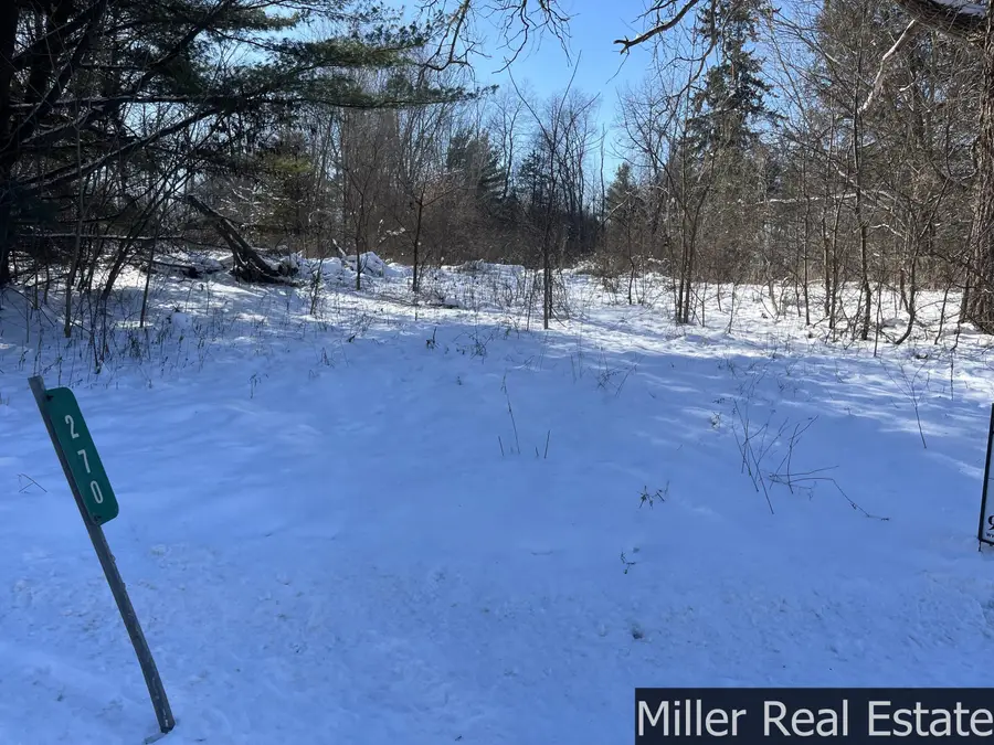 270 S M-37 Highway, Hastings, MI 49058 - Image #3