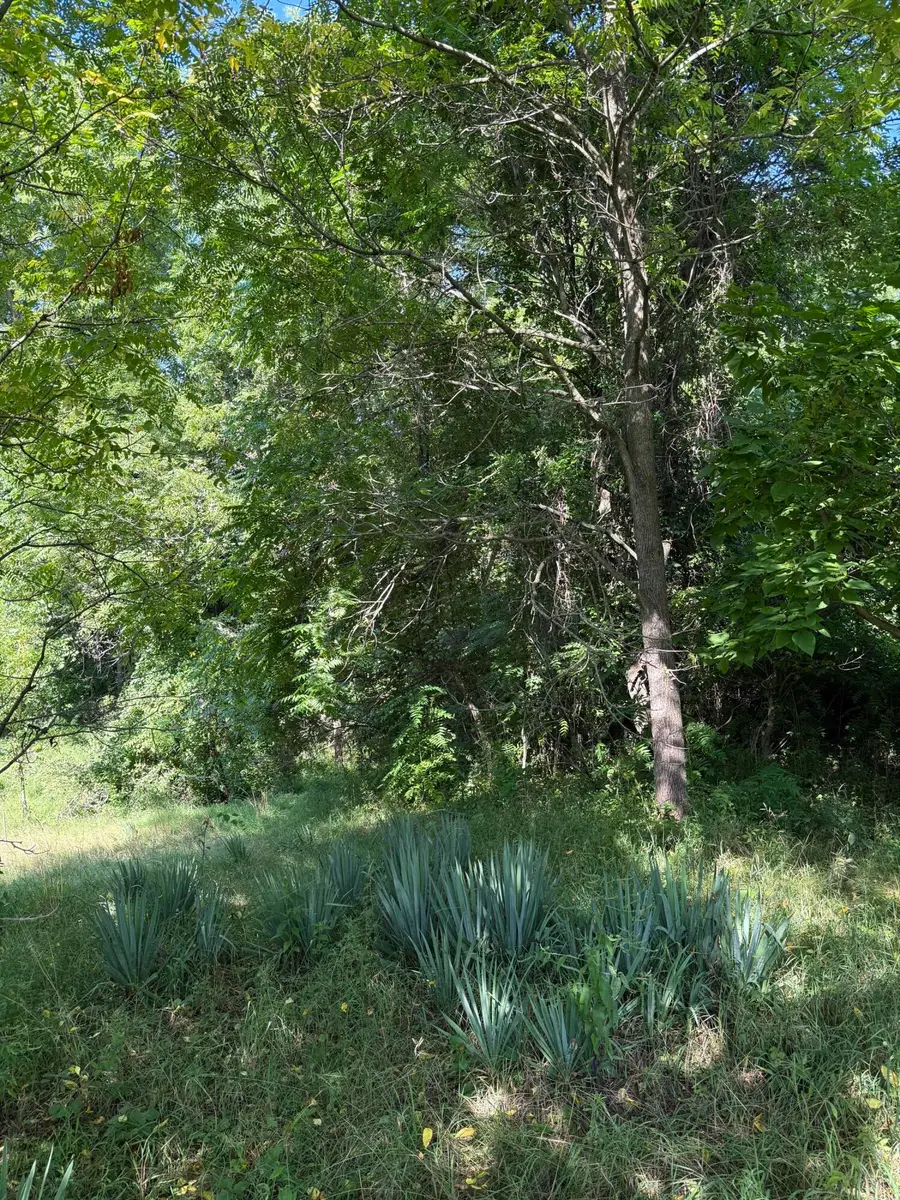 178 Griswold Street, Hillsdale, MI 49242 - #2