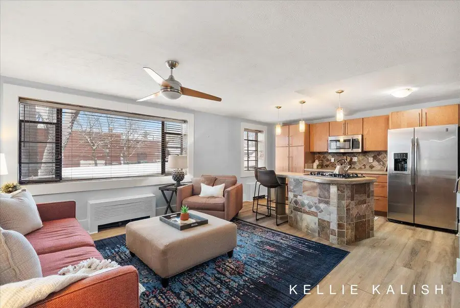 505 Cherry Street Se #217, Grand Rapids, MI 49503 - Image #3