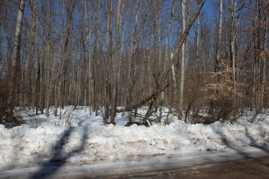 8158 Highland Trail, Canadian Lakes, MI 49346 - Image #2