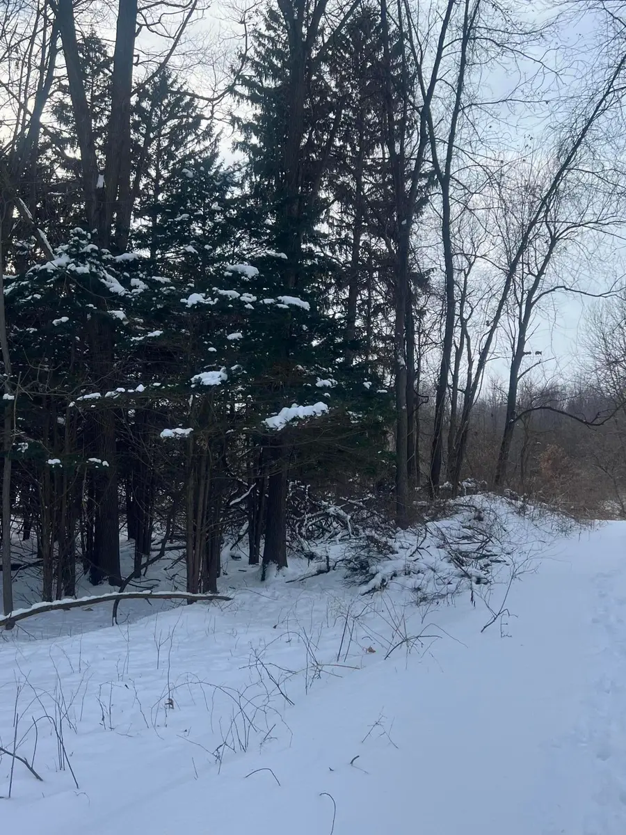 0 28 Mile Road, Albion, MI 49224 - Image #3