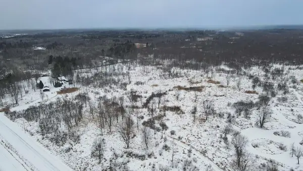 78.5 Acres Alabaster Road, Tawas City, MI 48763