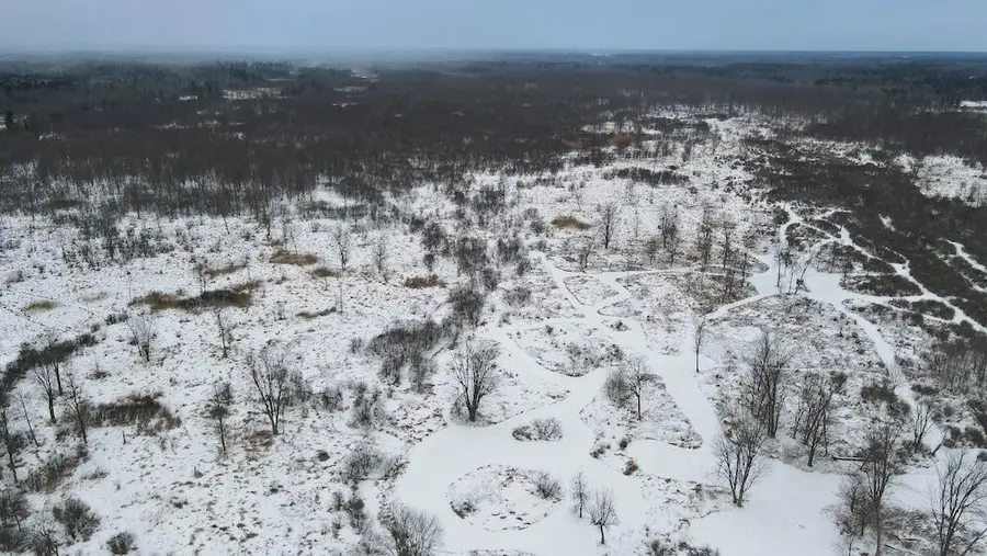 78.5 Acres Alabaster Road, Tawas City, MI 48763 - Image #2