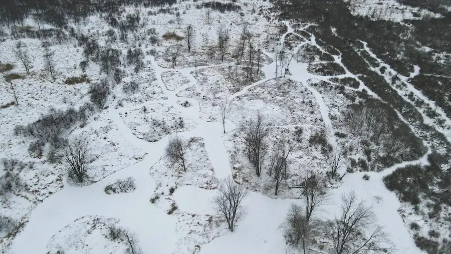 78.5 Acres Alabaster Road, Tawas City, MI 48763 - Image #3