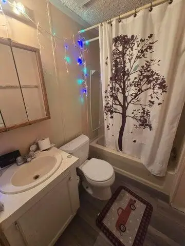 3 Riverview Drive, Saint Louis, MI 48880 - Image #3