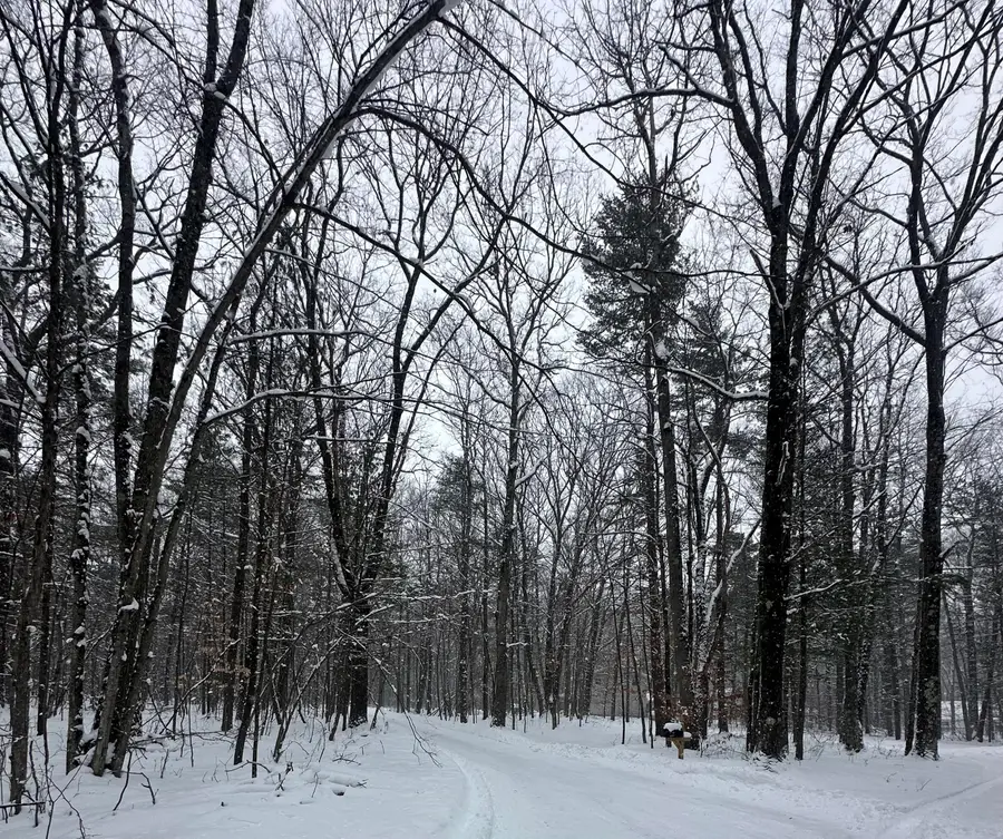 00 Saux Lane, Big Rapids, MI 49307 - Image #2