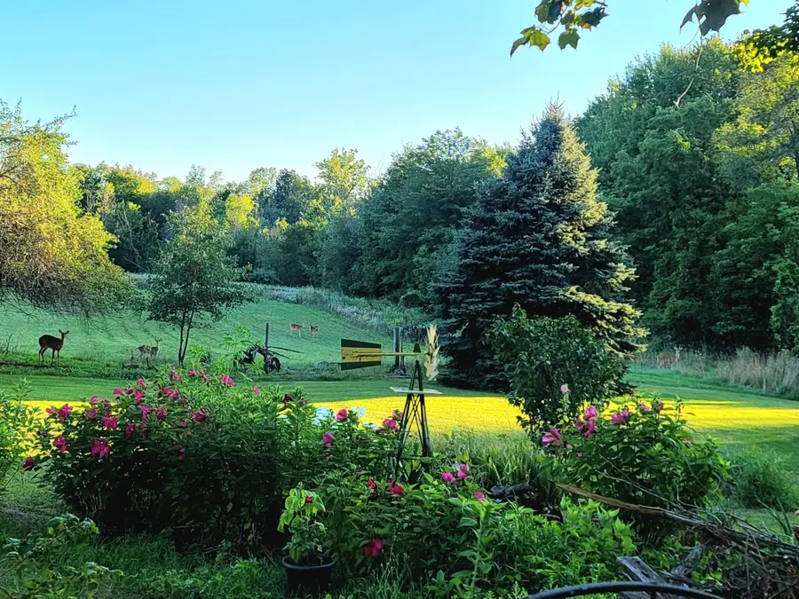 4885 Gavin Lake Road Ne, Ada, MI 49301 - Image #2