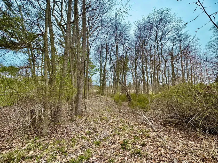 125 W Shore Woods Drive, Douglas, MI 49406 - Image #3