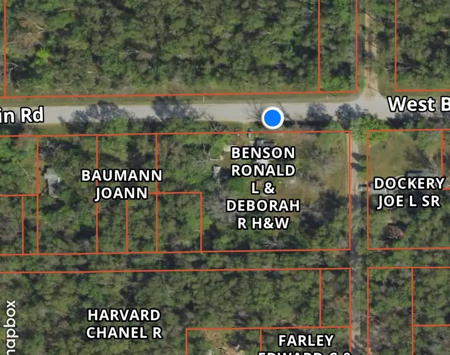 399 W Baldwin Road, Baldwin, MI 49304 - Image #3