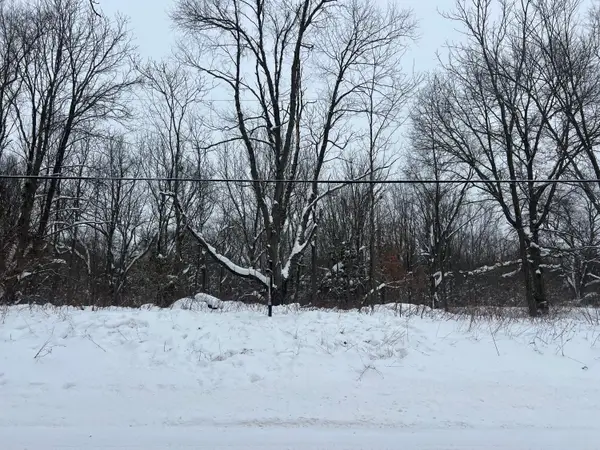 W Pq Vl Parcel A Avenue, Kalamazoo, MI 49009