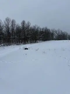 773 39th Street, Allegan, MI 49010 - #3