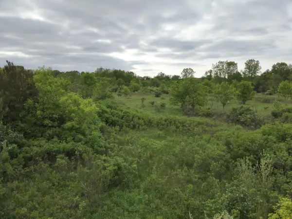 Bunkerhill Road, Jackson, MI 49201