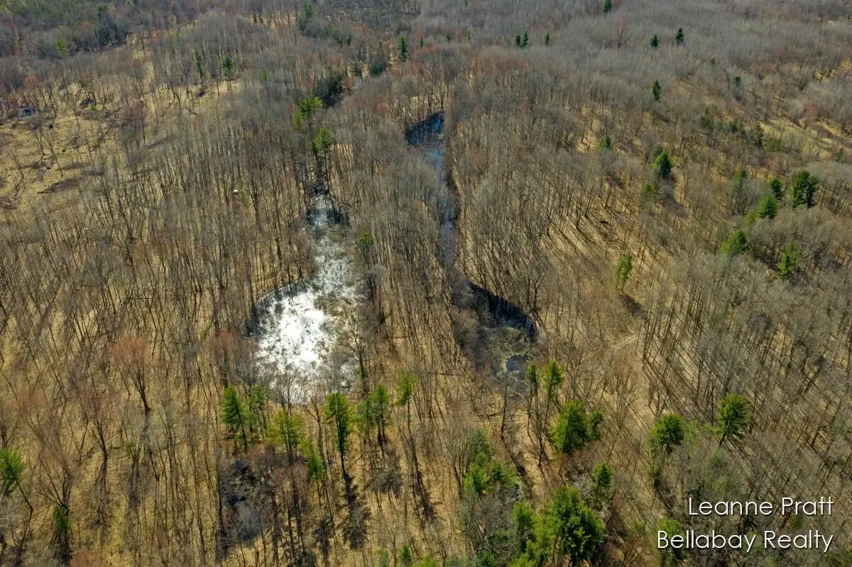 VL W Weidman Road, Weidman, MI 48893 - #1