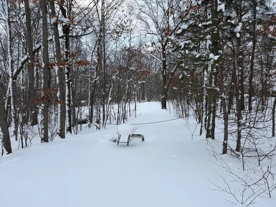 8180 N Echo Valley Drive, Irons, MI 49644 - Image #2