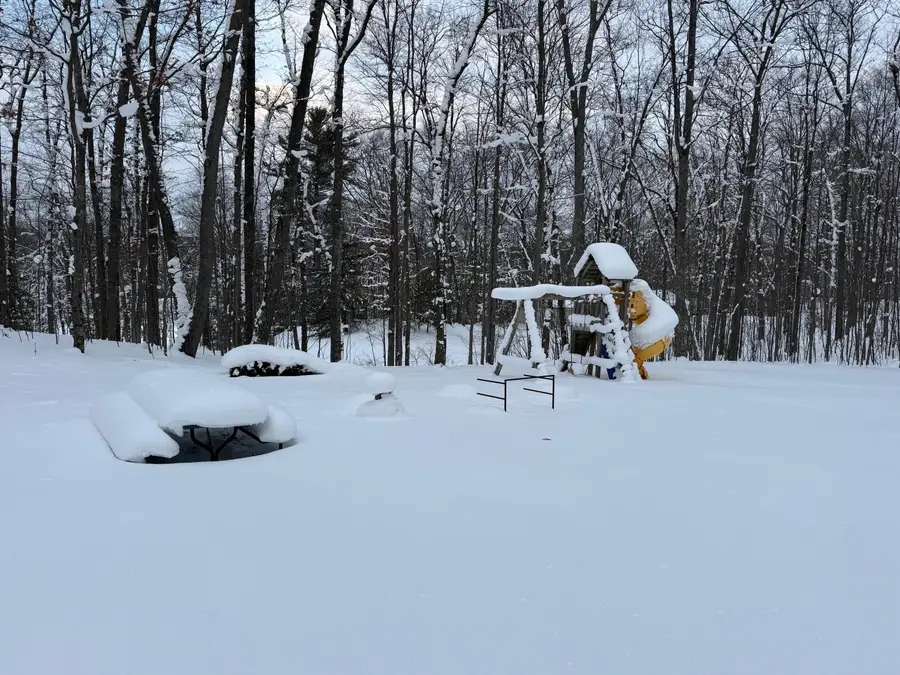 8180 N Echo Valley Drive, Irons, MI 49644 - Image #3