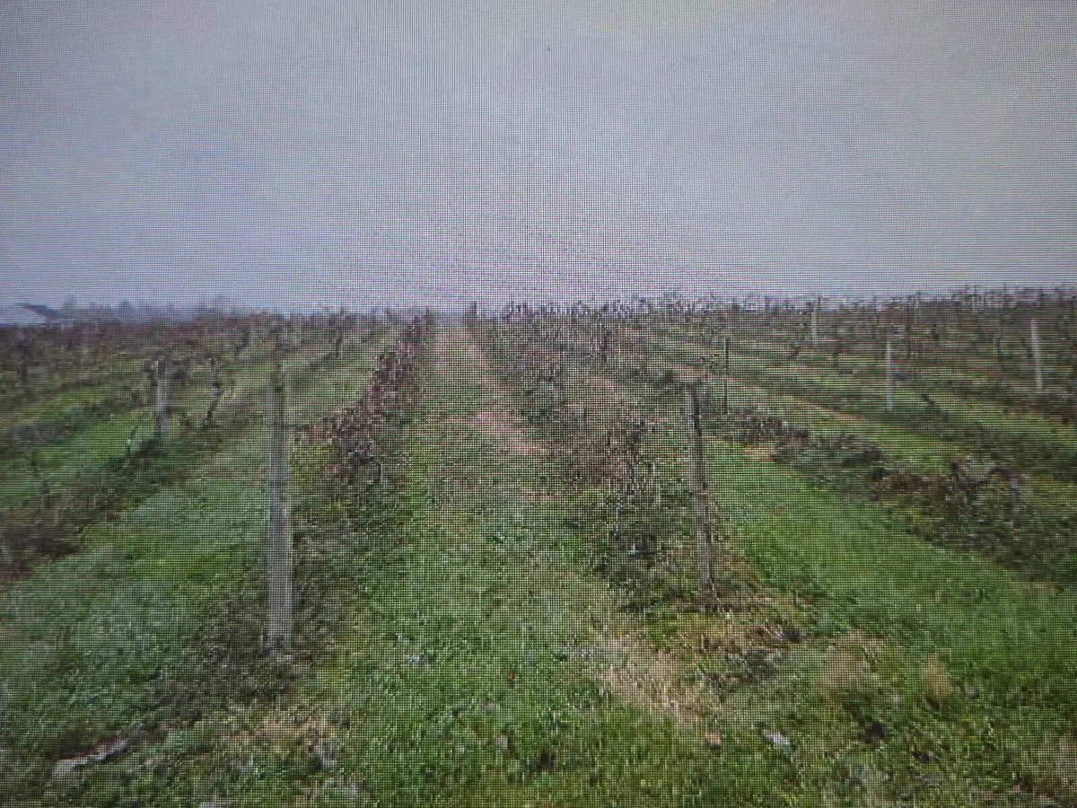 V/L Lauren Lane, Saint Joseph, MI 49085 - Image #1