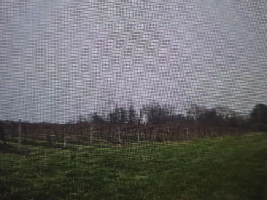 V/L Lauren Lane, Saint Joseph, MI 49085 - Image #2