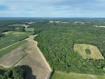 00 V/L Amber Rd., Mears, MI 49436 - Image #2