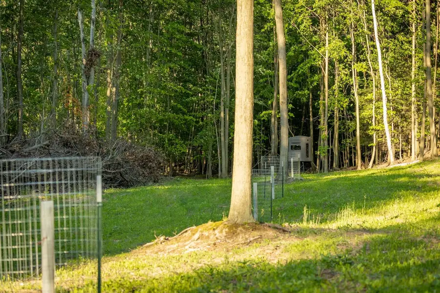 00 V/L Amber Rd., Mears, MI 49436 - Image #3