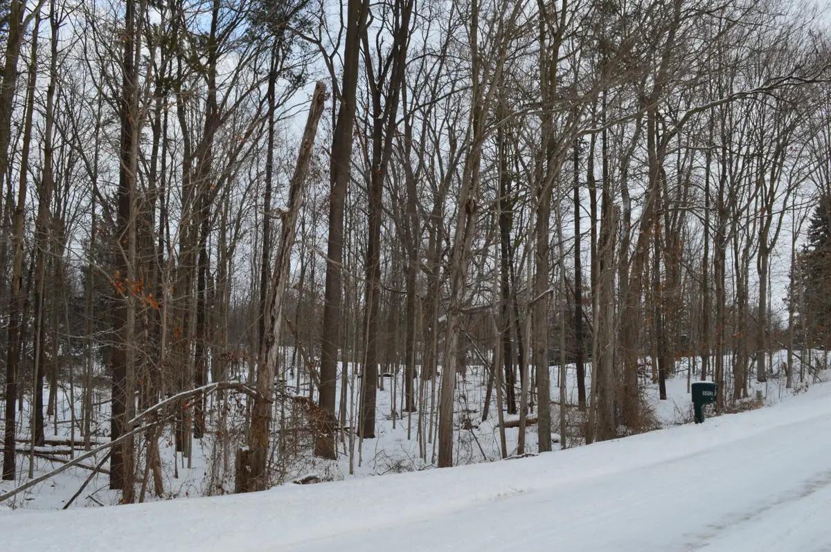 0 Willow Rd, Saline, MI 48176 - Image #1