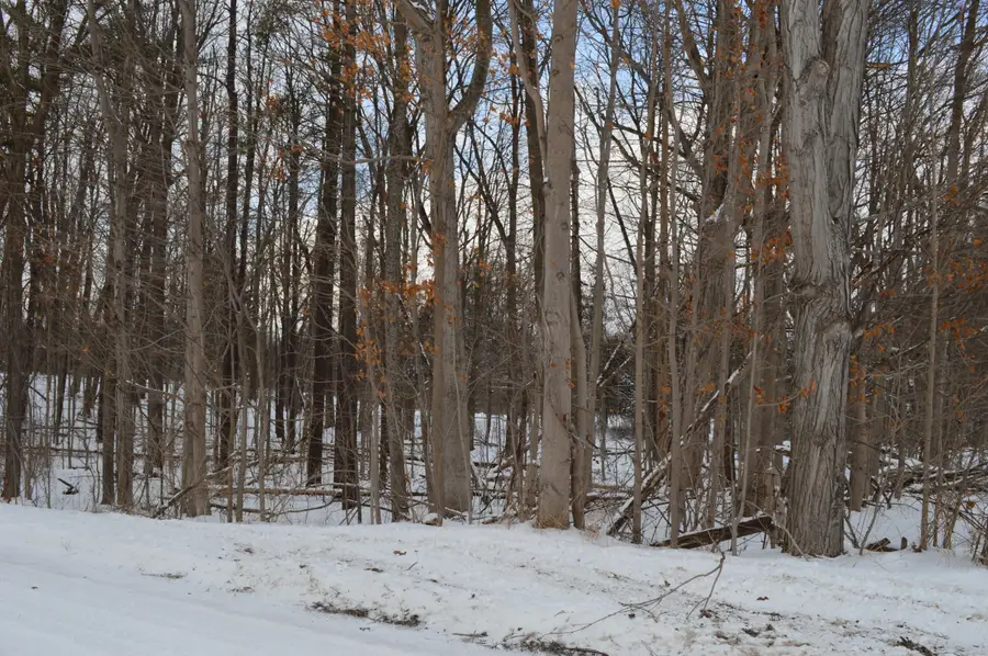 0 Willow Rd, Saline, MI 48176 - Image #3