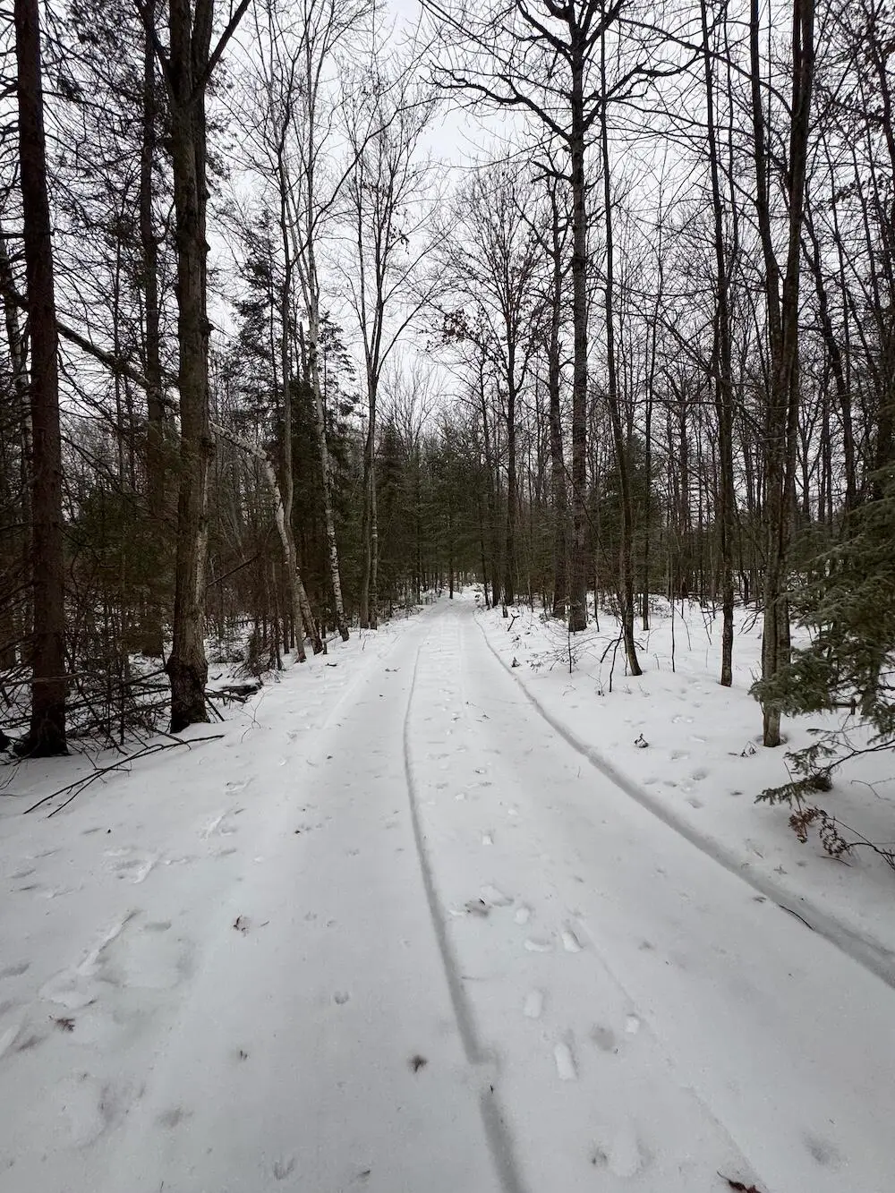 S Loxley Road, Houghton Lake, MI 48629 - Image #1