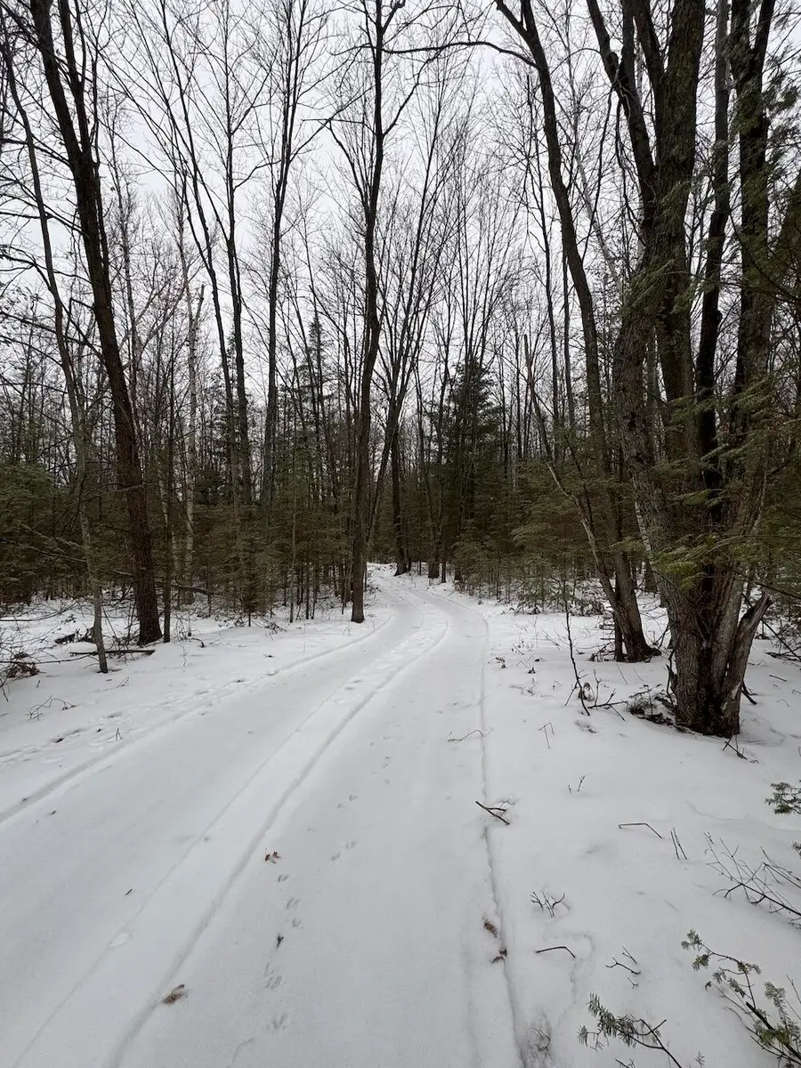 S Loxley Road, Houghton Lake, MI 48629 - Image #2