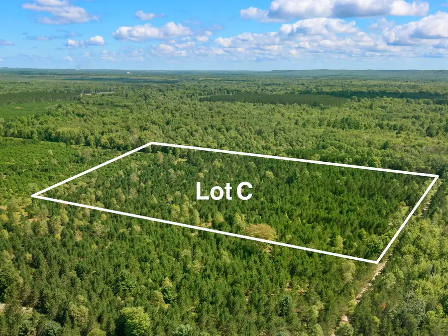 Wallin Road, Thompsonville, MI 49683 - Image #2