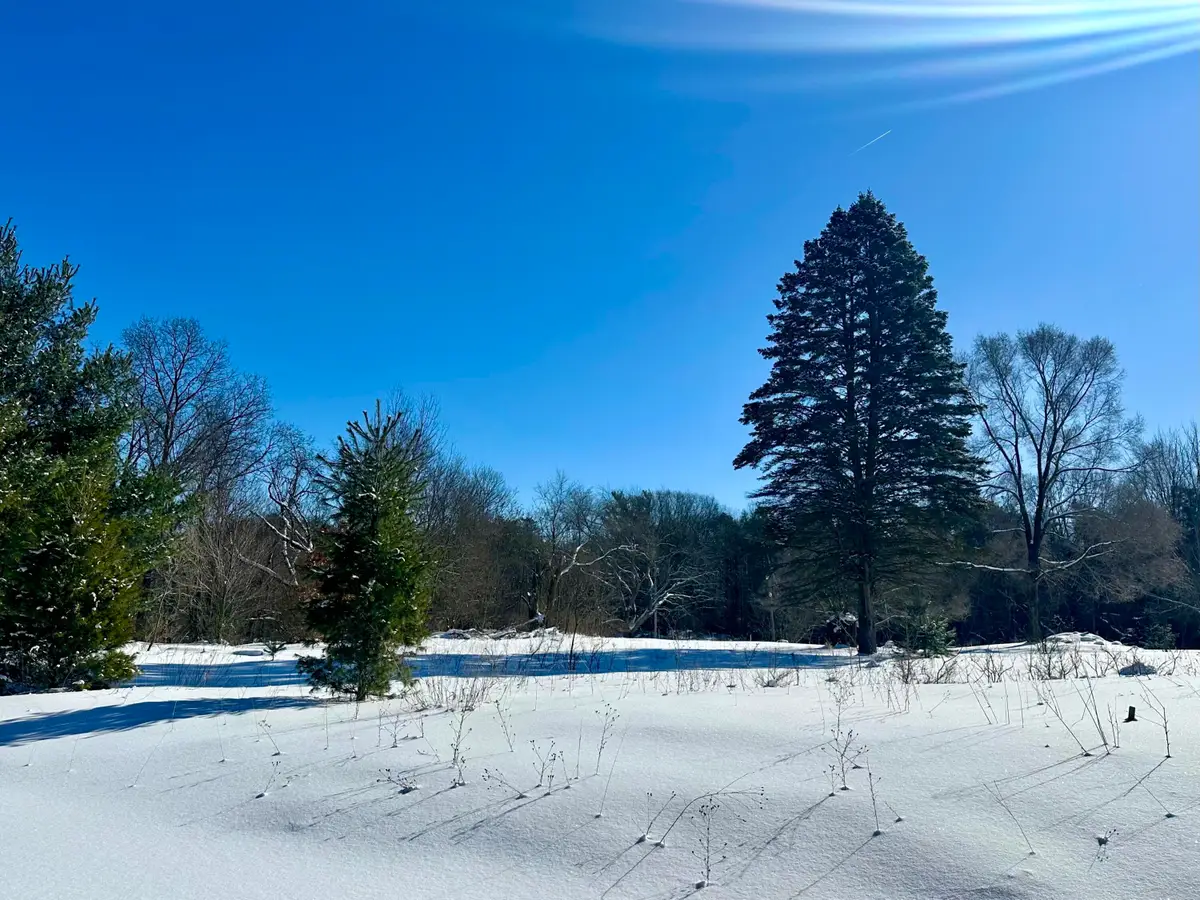 3505 65th Street, Saugatuck, MI 49453 - Image #1