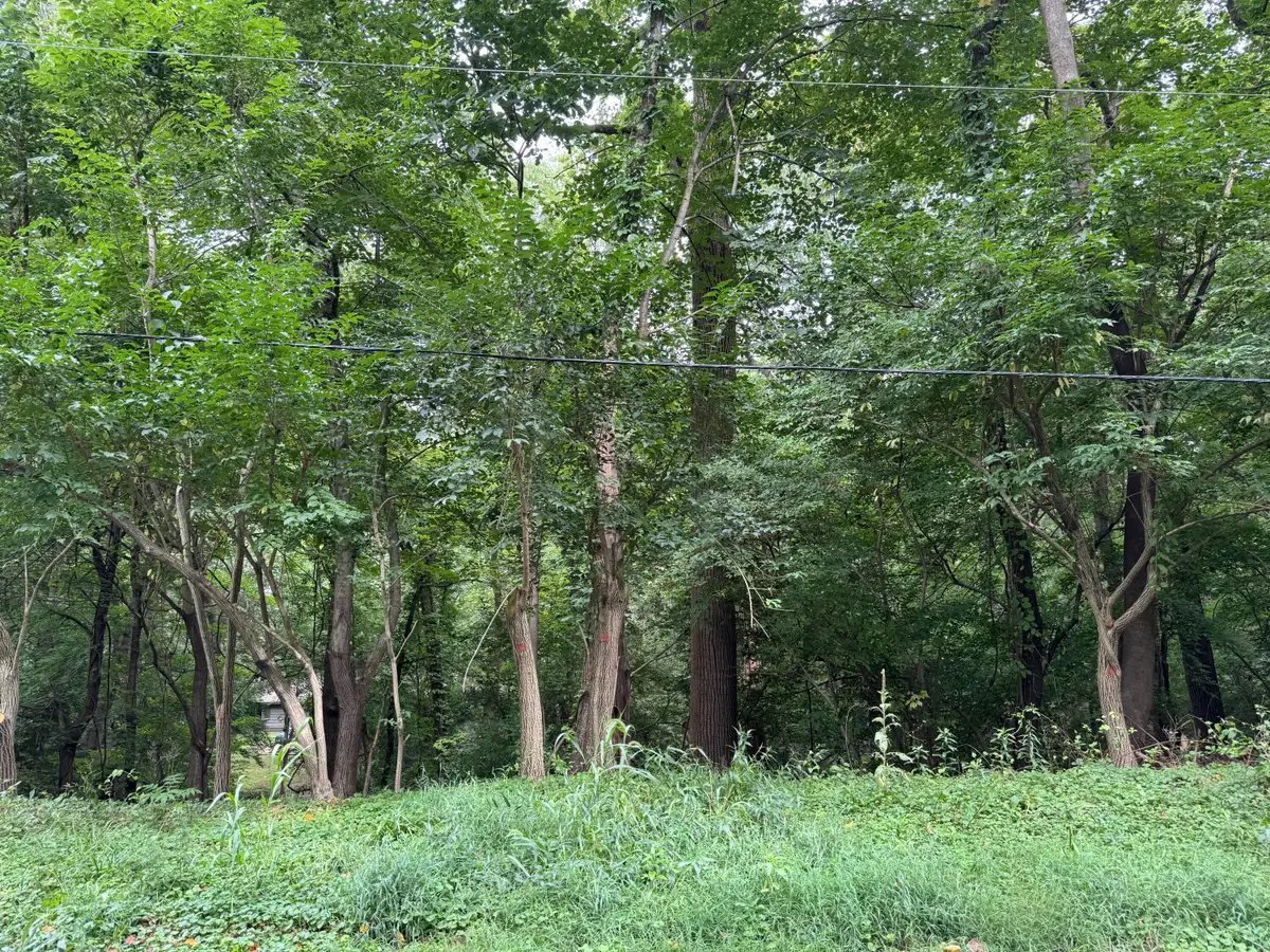 no number E Court Drive, Michiana, MI 49117 - Image #1