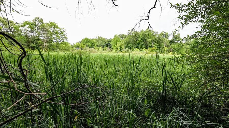 VL Mud Lake Rd, Bellevue, MI 49021 - Image #2