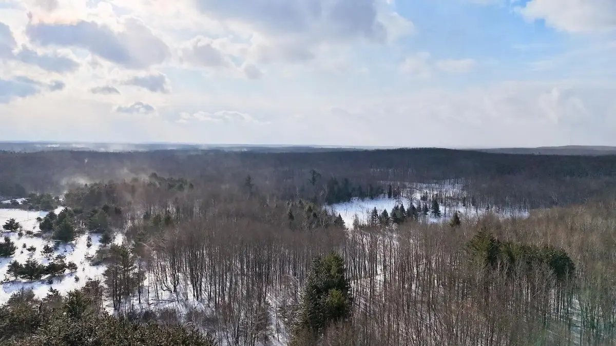 6182 Hamilton Road, Harrison, MI 48625 - #1