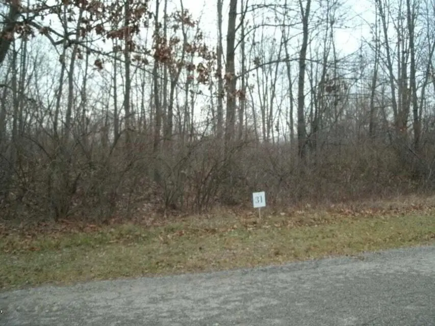 0 Drew Drive #Lot 29, Niles, MI 49120 - #1