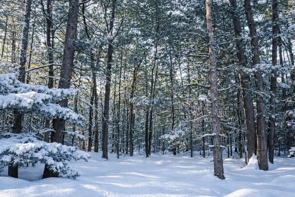 11488 Fredmar Drive, Interlochen, MI 49643 - #1