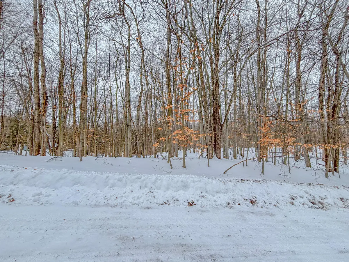 12329 Wagon Wheel Trail #387, Canadian Lakes, MI 49346 - Image #1