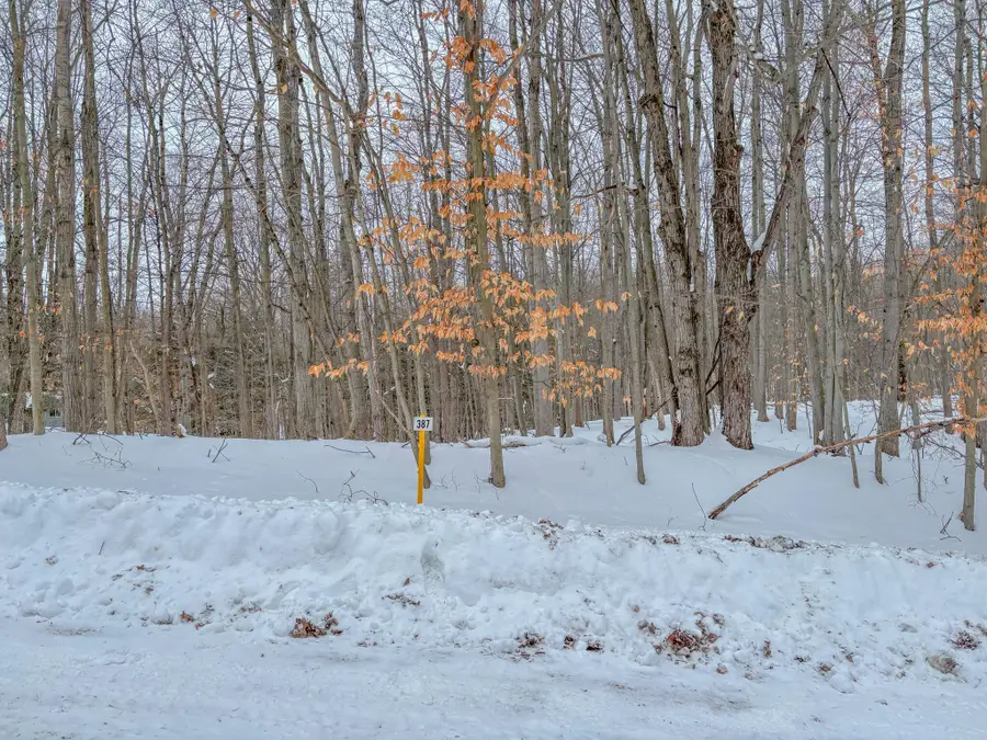 12329 Wagon Wheel Trail #387, Canadian Lakes, MI 49346 - Image #3