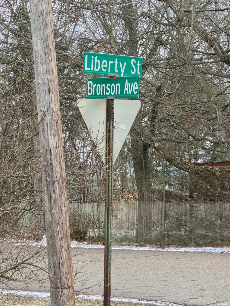 V/L Bronson Avenue, Plainwell, MI 49080 - Image #2