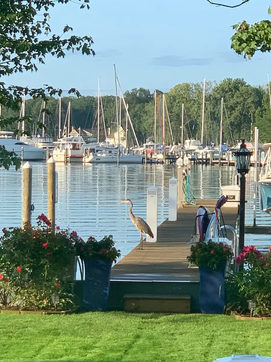 1738 Waukazoo Drive, Holland, MI 49424 - Image #2