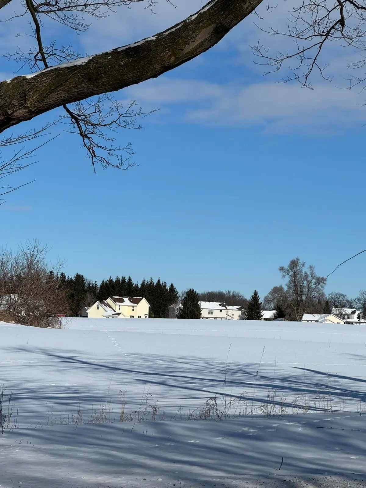 000 E Michigan Avenue, Grass Lake, MI 49240 - Image #1