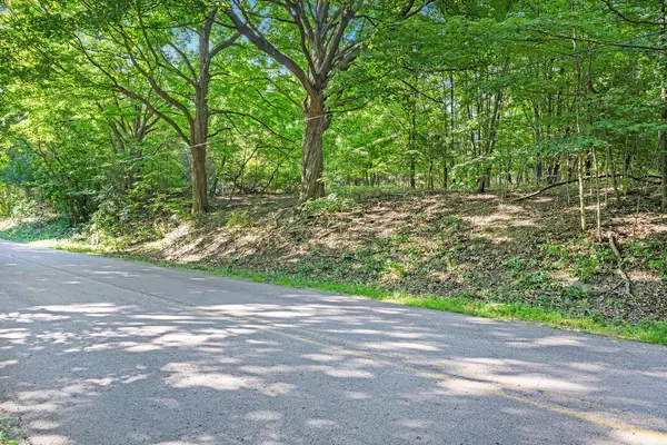 V/L 56th Avenue, Paw Paw, MI 49079