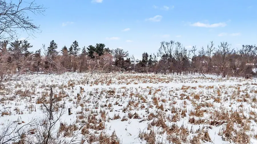 415 Vacant Land Parcel D - Dale Street, Chelsea, MI 48118 - Image #3