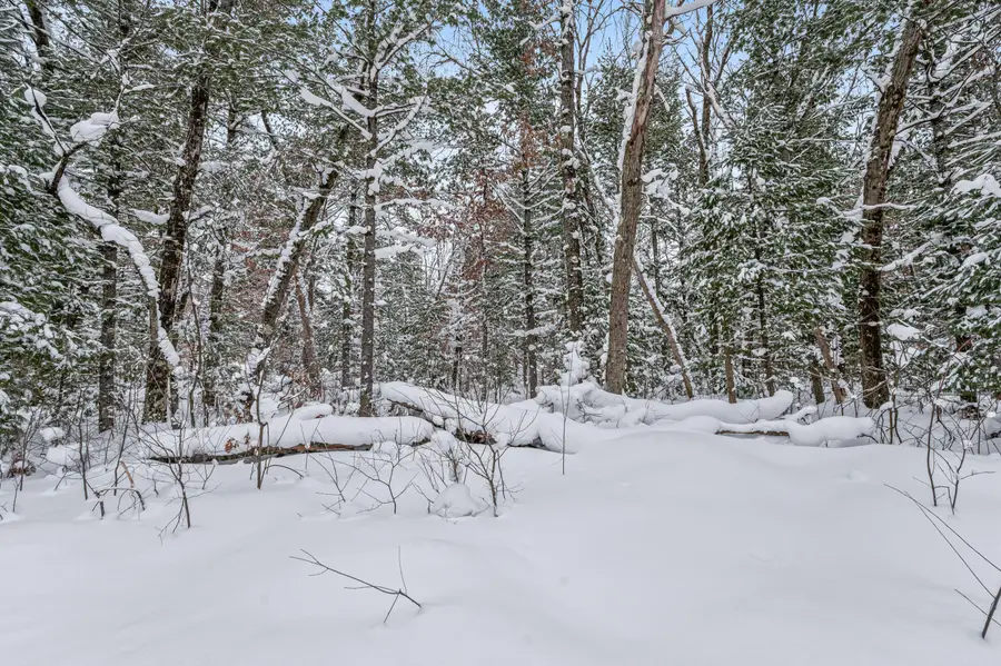 00 Bradby Blvd, Baldwin, MI 49304 - Image #2