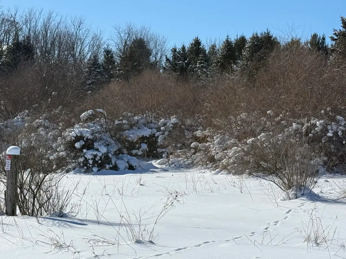 6800 W Barnum Road, Middleville, MI 49333 - Image #1