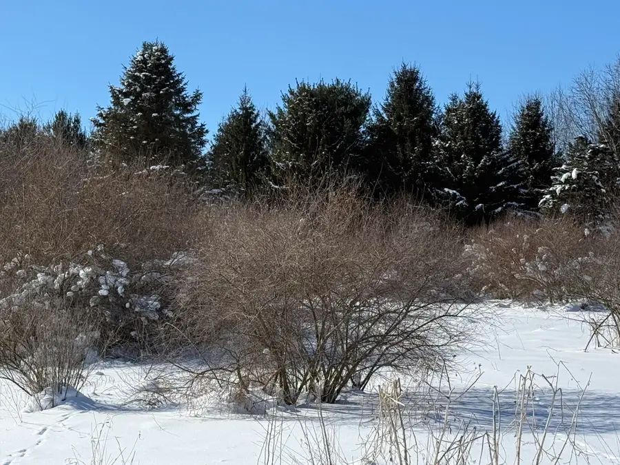 6800 W Barnum Road, Middleville, MI 49333 - Image #2